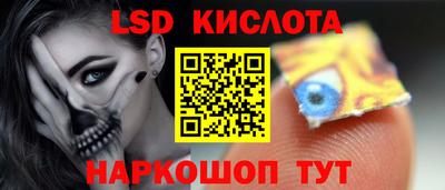 спиды Кингисепп
