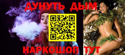 спиды Кингисепп