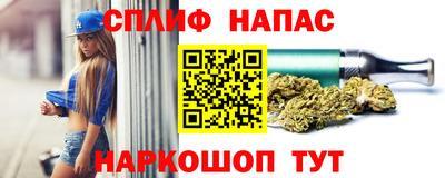 спиды Кингисепп