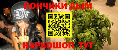 спиды Кингисепп
