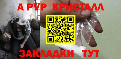 спиды Кингисепп