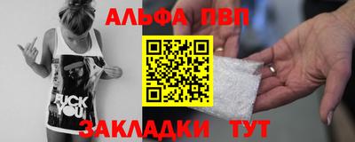 спиды Кингисепп