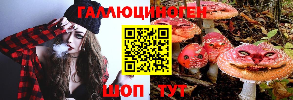 Галлюциногенные грибы мухоморы Ялта
